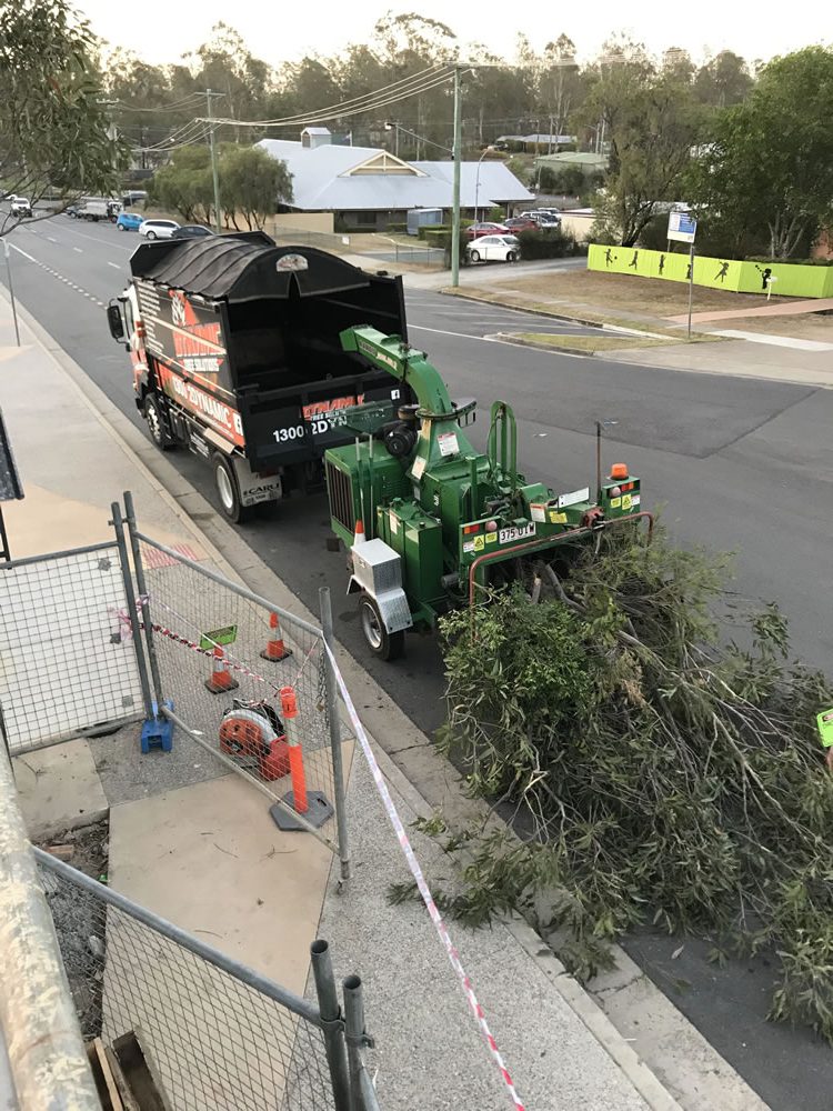 Commercial Tree Lopper arborist Brisbane Greenbank Area10