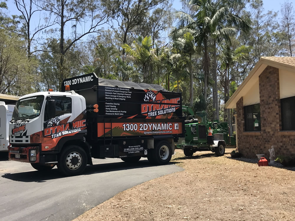 Tree Care Services Near Me