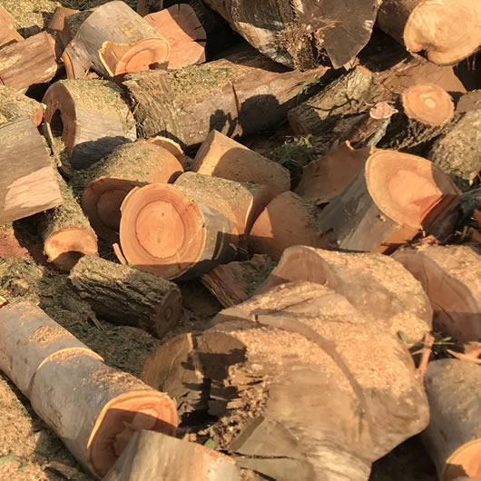 firewood delivered greenbank area buy price online