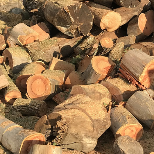 firewood round logs for sale online delivered greenbank