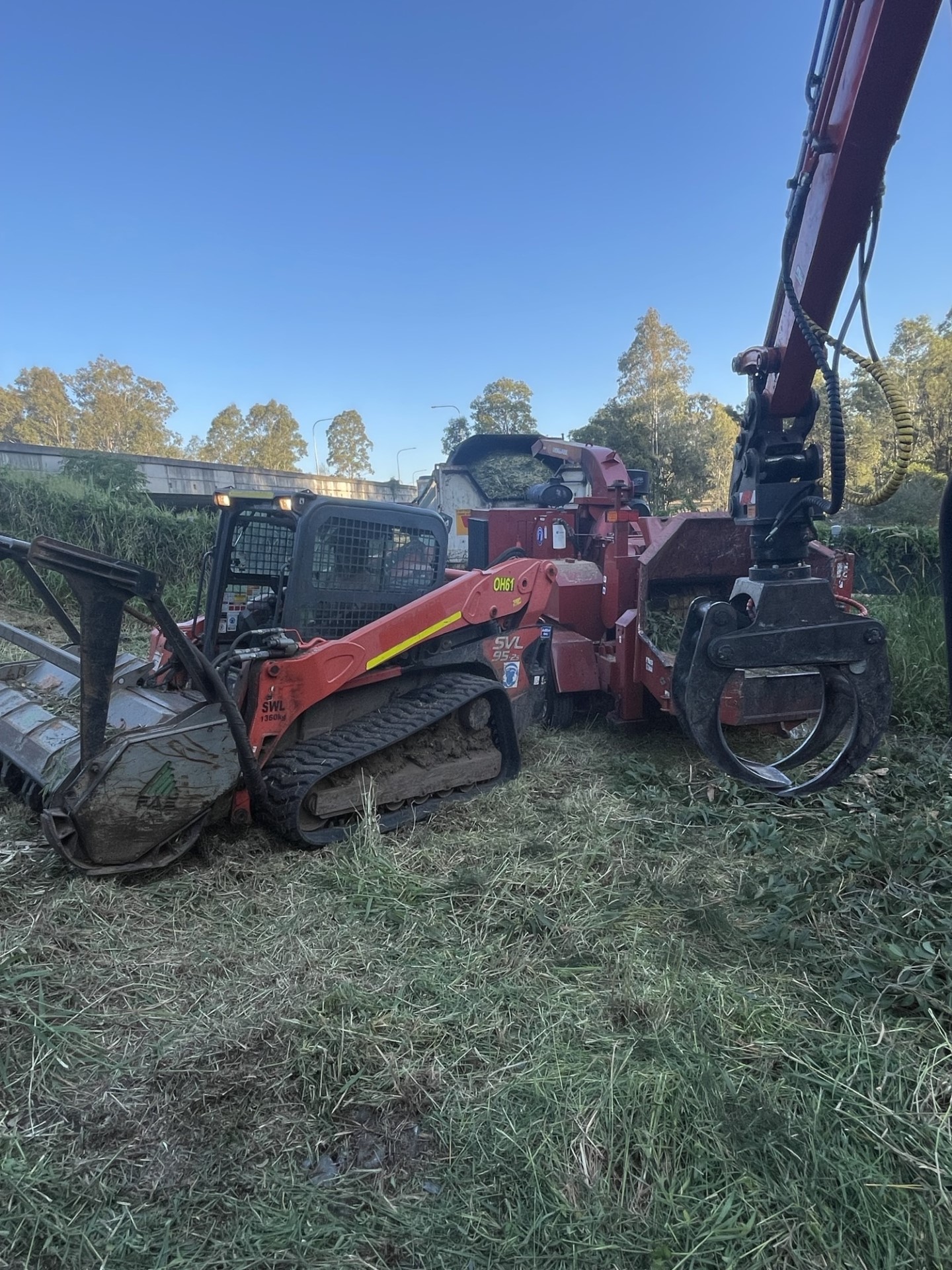 Thumbnail Image — Dynamic Tree Solutions Brisbane tree services
