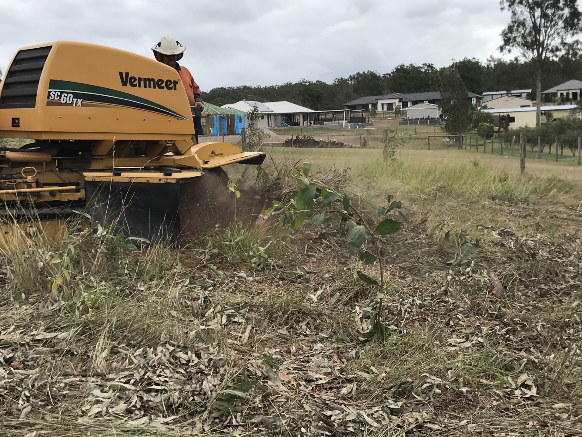 Professional grinding a large tree stump in a South East Brisbane property.