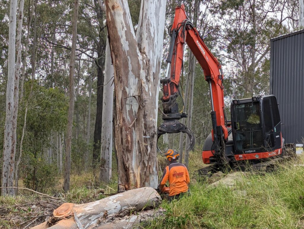 Professional tree lopping and removal services in South East Brisbane.