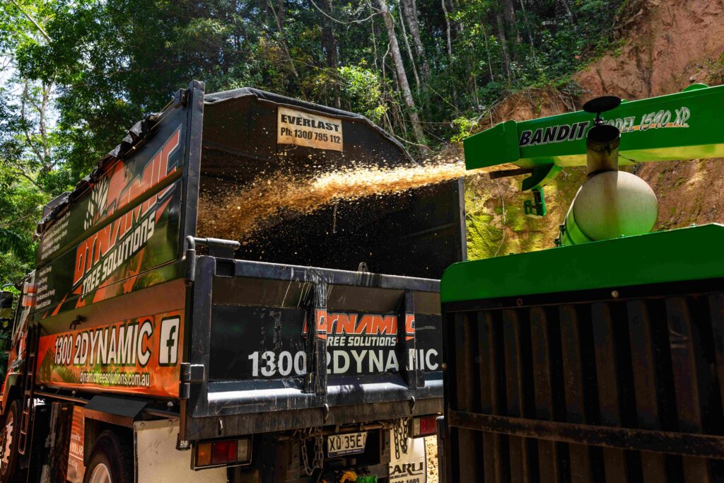 Cert 3 arborist from Dynamic Tree Solutions operating a wood chipper in New Beith, converting tree debris into mulch.