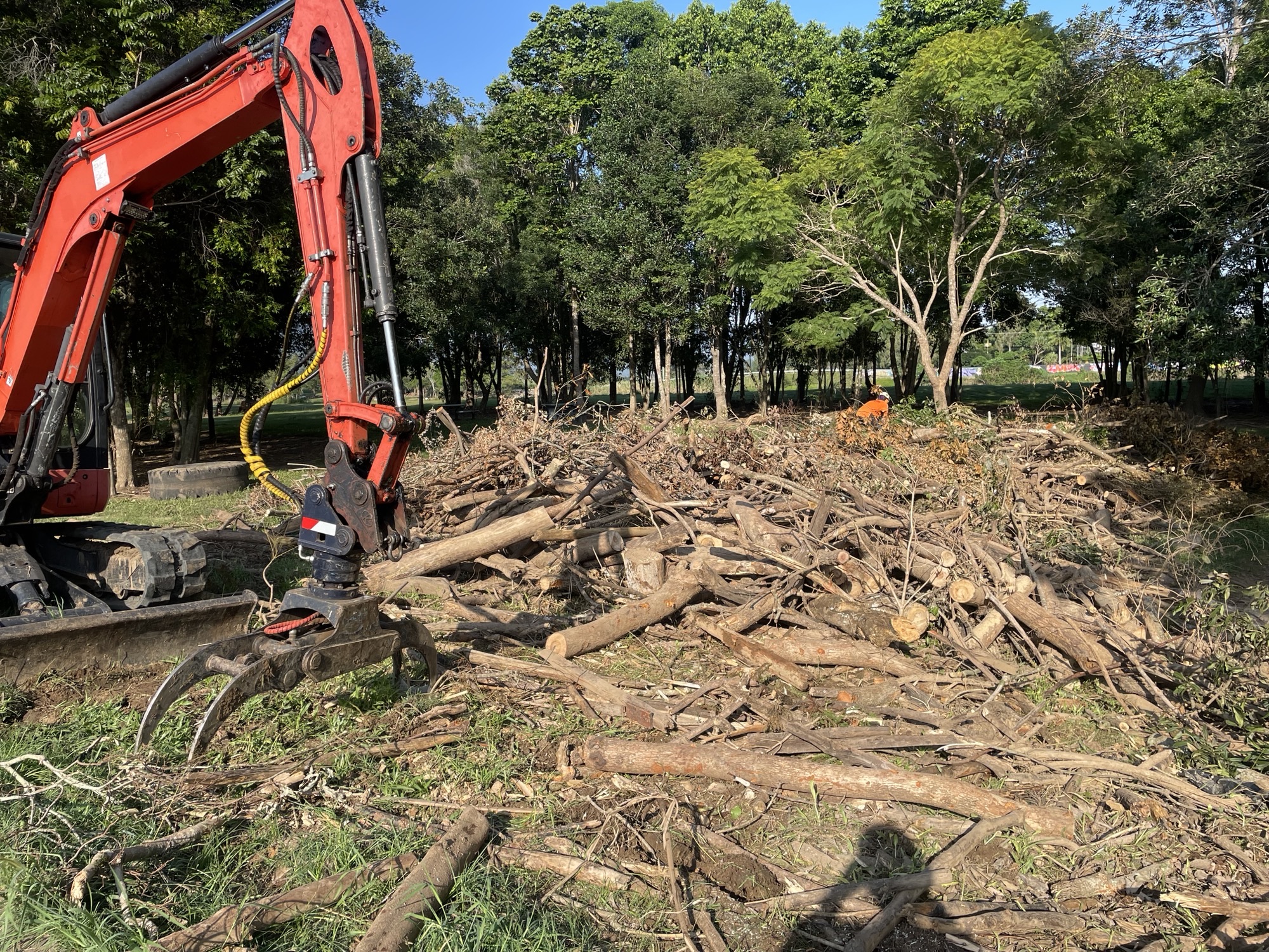 A cert 3 tree lopping arborist from Dynamic Tree Solutions securing trees against storm damage in Logan Village.