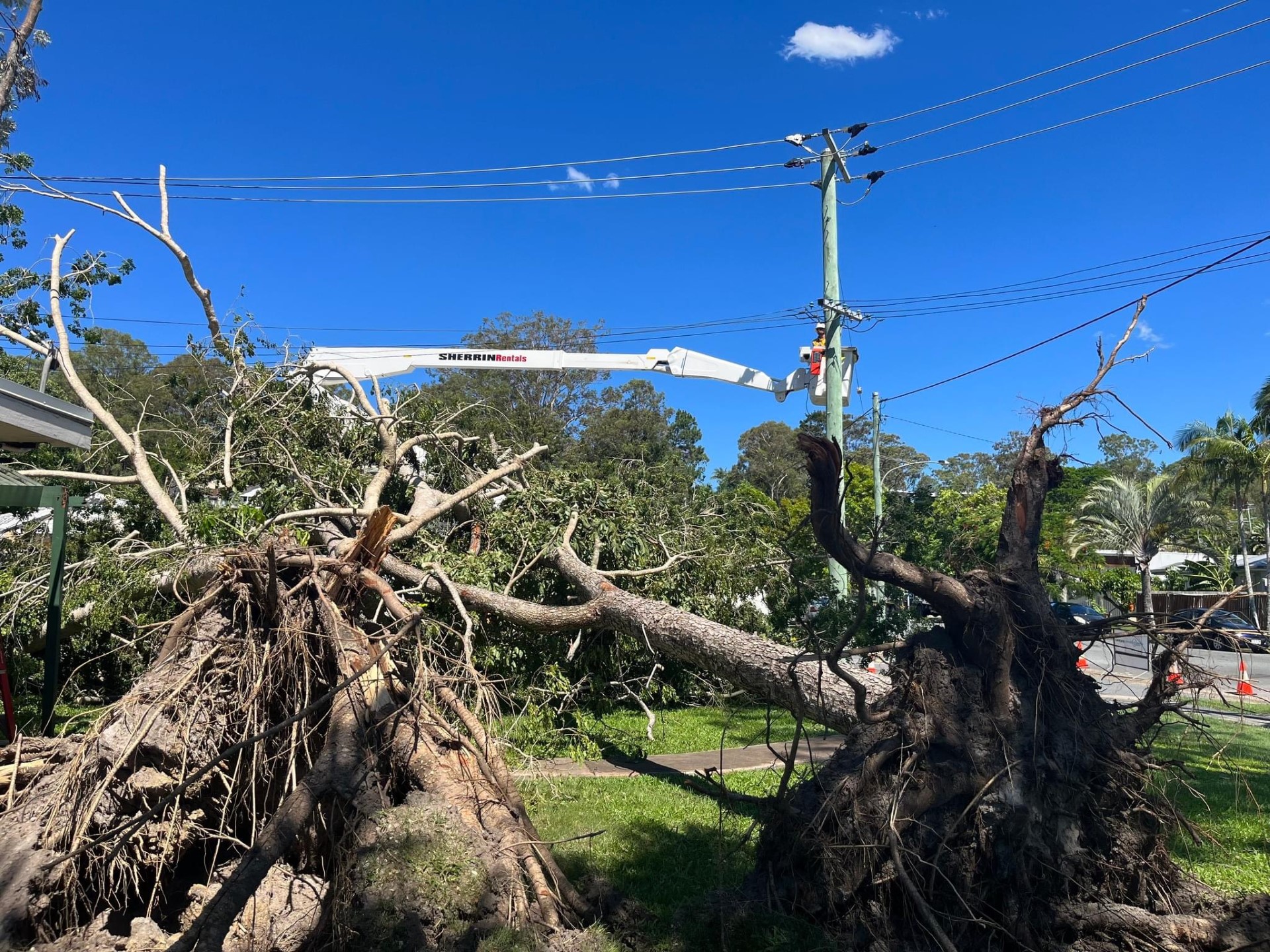 Professional arborists from Dynamic Tree Solutions clearing storm debris in SEQ, ensuring safety and aiding in swift recovery.