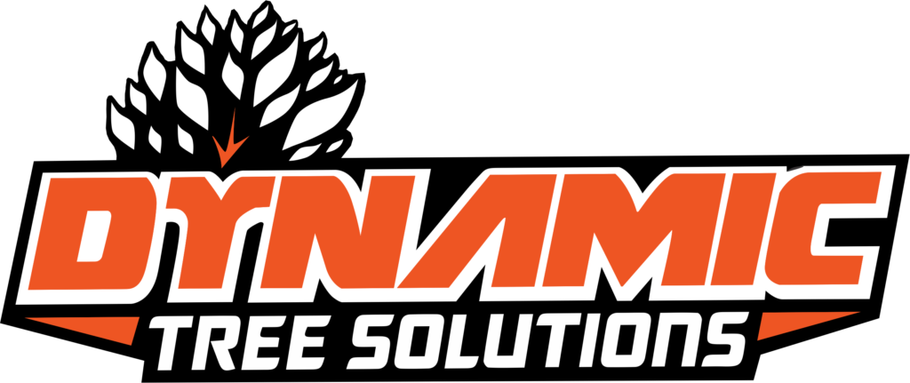 The Dynamic Tree Solutions logo, featuring a modern stylized green tree with swirling branches, symbolizing innovation and environmental care, in Forest Lake.