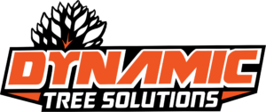 Logo of Dynamic Tree Solutions featuring a stylized tree with a dynamic swirl representing growth and care in arboriculture.