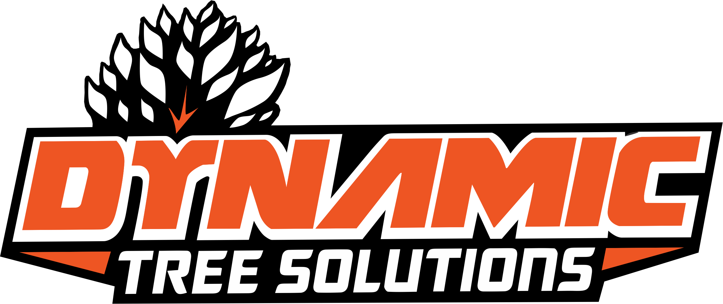 Logo of Dynamic Tree Solutions featuring a stylized tree with a dynamic swirl representing growth and care in arboriculture.