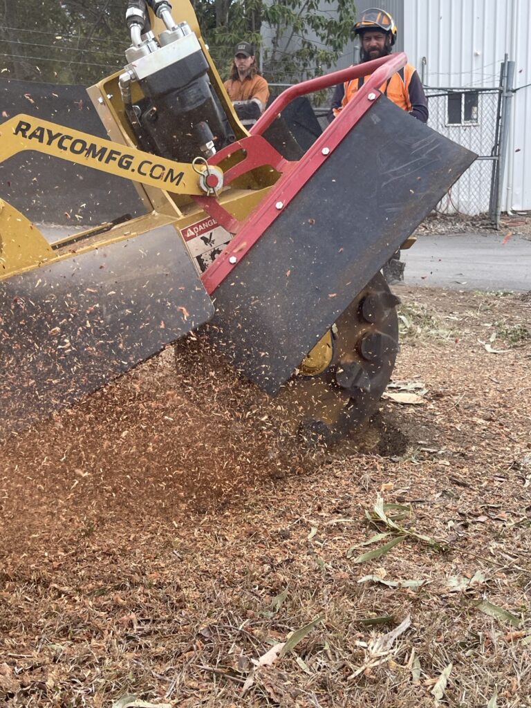 Level 3 arborist from Dynamic Tree Solutions completing a precise stump grinding process in Spring Mountain.