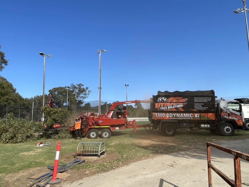 Dynamic Tree Solutions’ cert 3 tree lopping arborist operating a modern truck, large chipper, and excavator during a tree removal project in Logan Village.