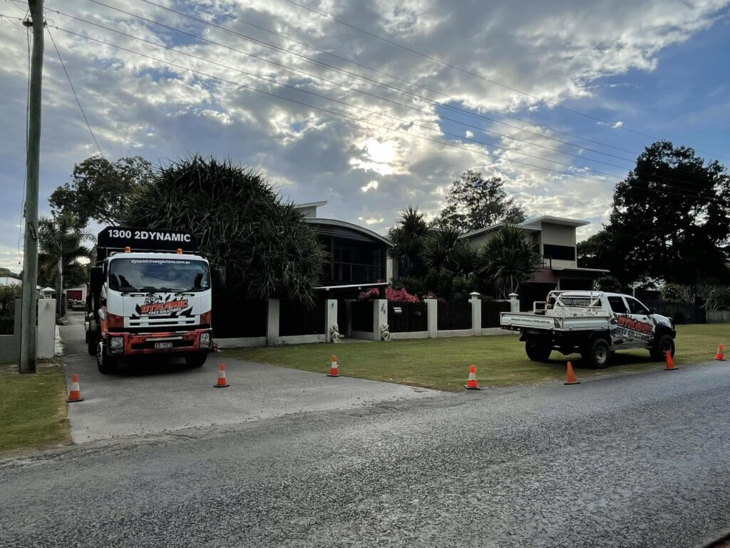 Certified Cert 3 arborists from Dynamic Tree Solutions preparing tools for a residential tree trimming project in Ipswich.