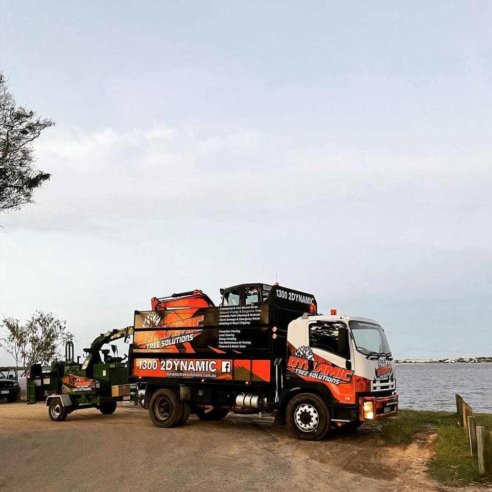 Dynamic Tree Solutions truck with signwriting, excavator, and chipper on-site for professional tree removal and land clearing services in Queensland.