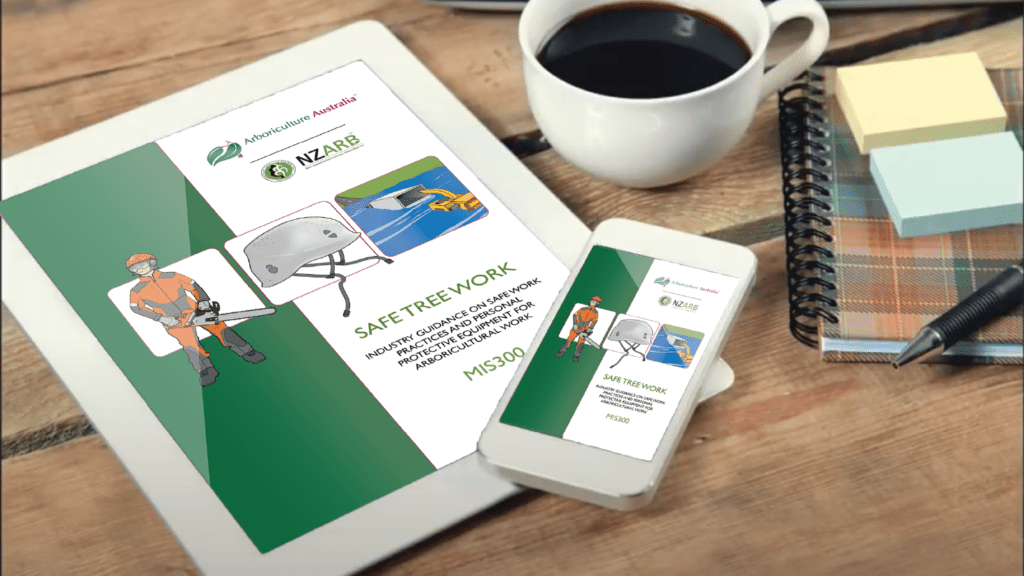 AQF Level 5 arborist from Dynamic Tree Solutions conducting a detailed tree assessment in Brisbane.