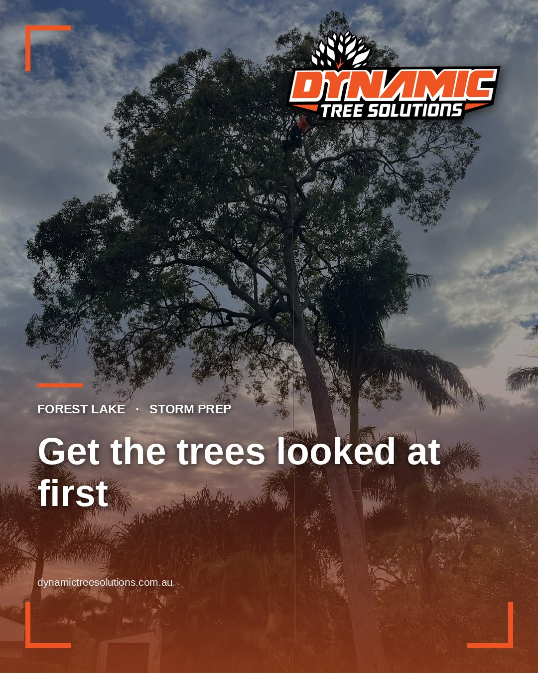Storm Season 2026–27: What El Niño Means for Brisbane Trees Storm Season 2026–27: What El Niño Means for Brisbane Trees