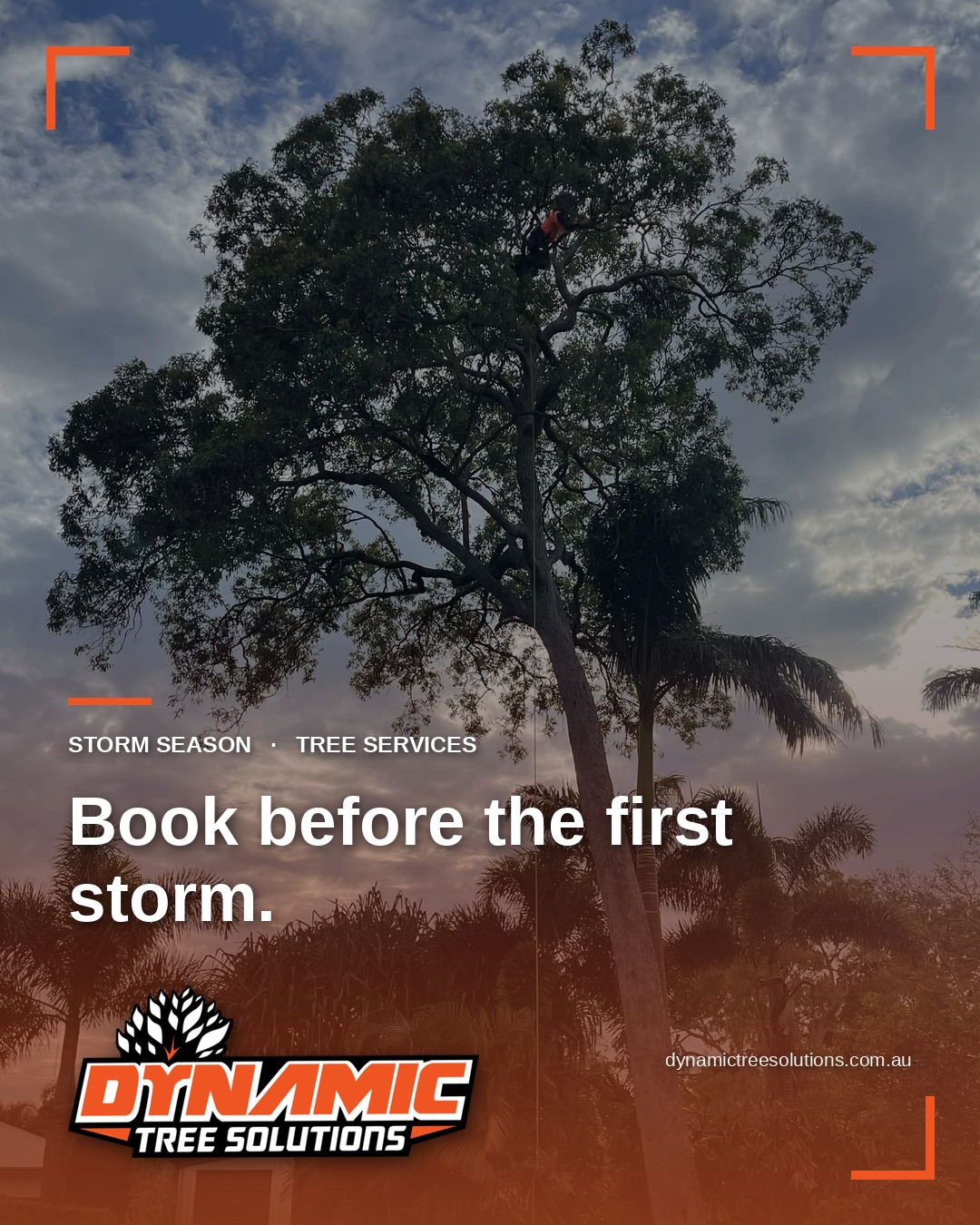 Storm Season Tree Services: Book Before the First Storm