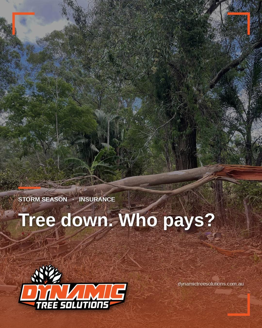 Does Insurance Cover Tree Removal After a Storm?