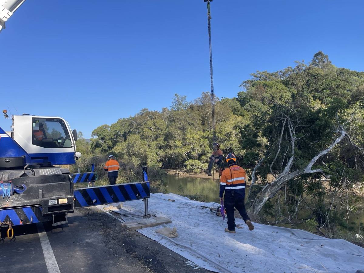 Crane and ground crew removing a tree beside a river, mats laid on the road
