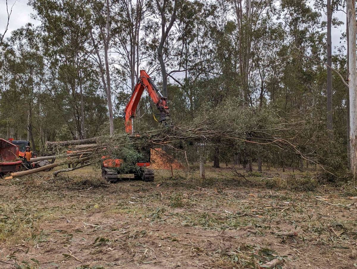 Excavator with grab lifting felled tree limbs on a land clearing job