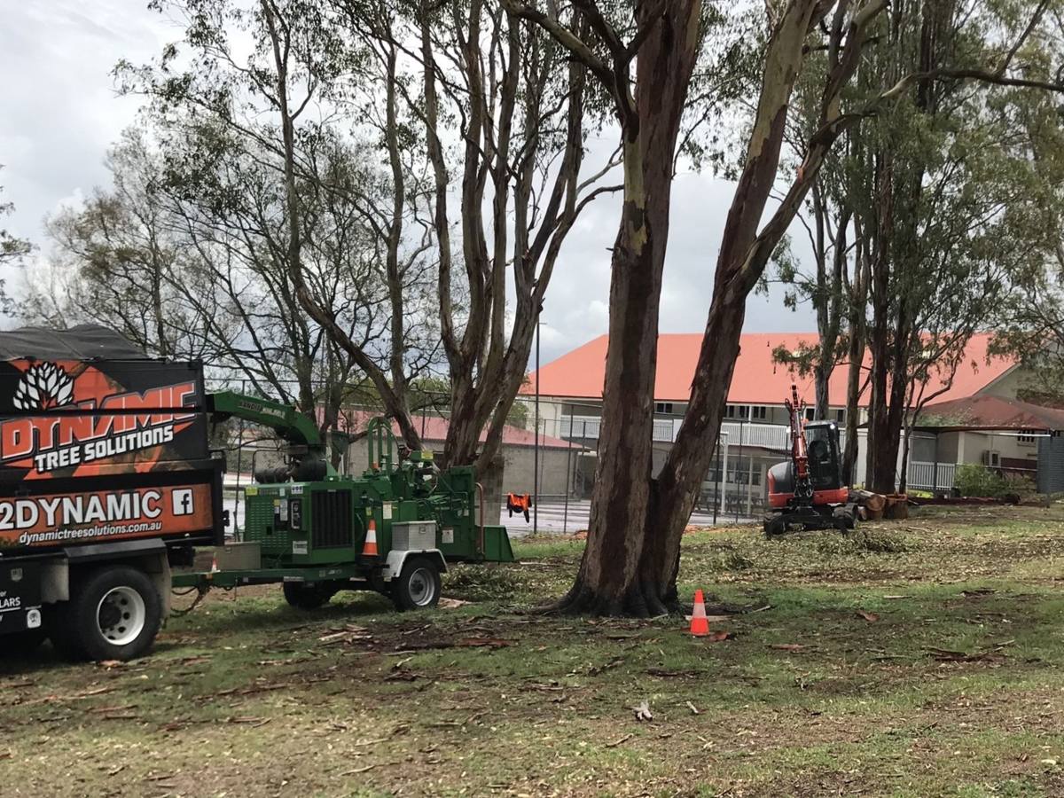 Dynamic Tree Solutions truck and chipper under gum trees beside a school building